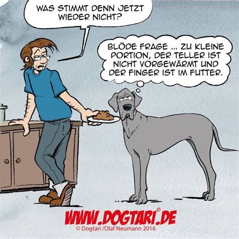 Pin Von JohnDoe Auf Der Hund Blieb Mir Im Sturme Treu Hund Witze