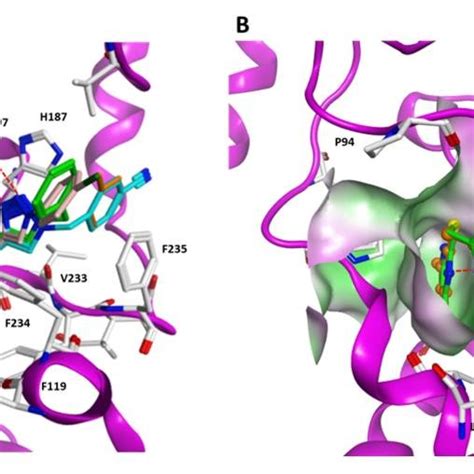 Docking Poses Of Inhibitors In Sirt Pdb Id Dy A Interaction