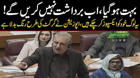 Enough Is Enough Shah Mehmood Qureshi Blazing Speech In National