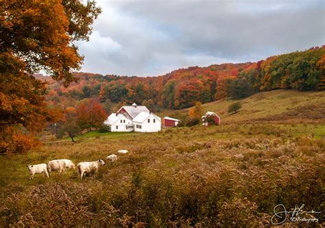 Classic Vermont Farm in Fall Print - Etsy