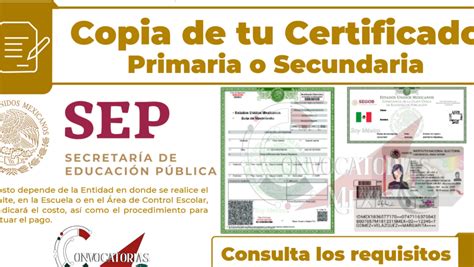 Guía Completa Para Recuperar Tu Certificado De Primaria En México Pasos Y Requisitos