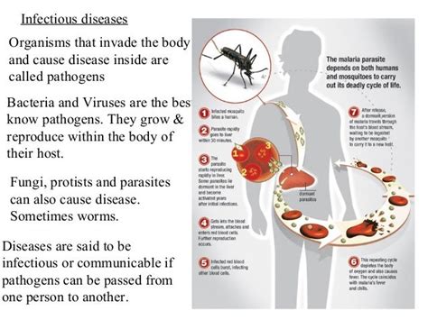 Human Health And Disease