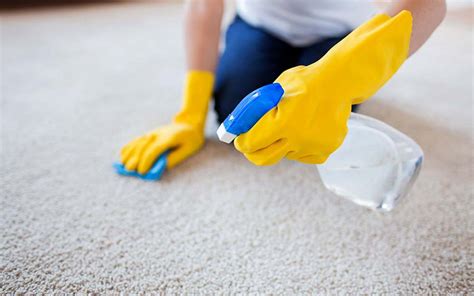 Carpet Shampoo Allergic To Cleaning Ways To Keep Allergies In