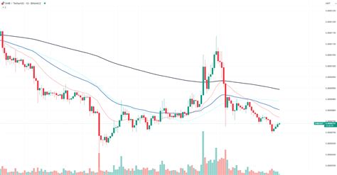 Shiba Inu Shib Showing 4th Growth Day In Row Reversal Incoming