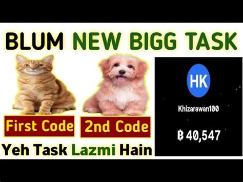 Blum Verify Code Blum 2 Bigg Task Blum New Update YouTube