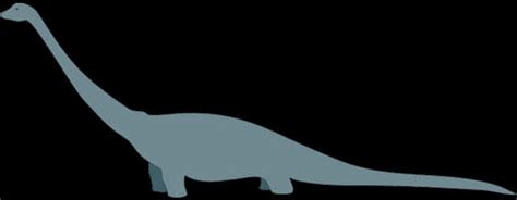 Download Sauropod Silhouette Dinosaur Profile | Wallpapers.com