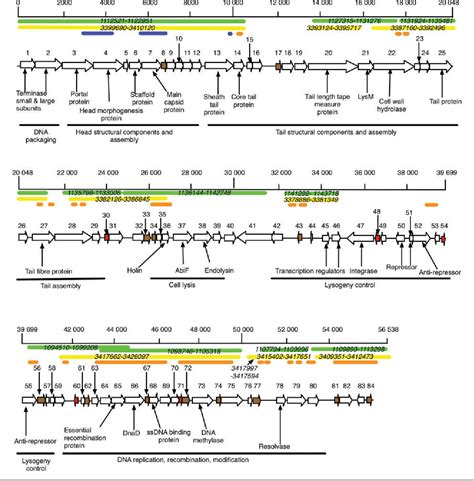 Figure 2 From The Complete Genome Sequence Of Clostridium Difficile