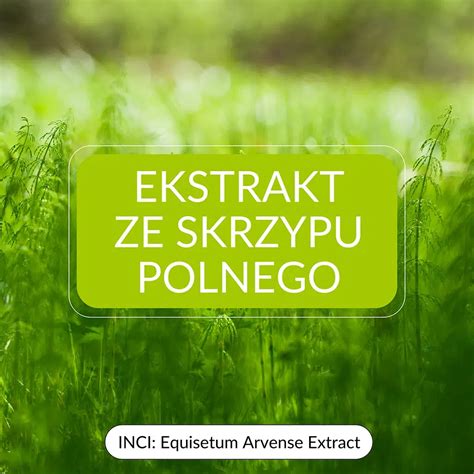 Ekstrakt Ze Skrzypu Polnego Sylveco Pl Kosmetyki Naturalne