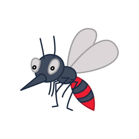 Clipart Mosquito Da Dengue