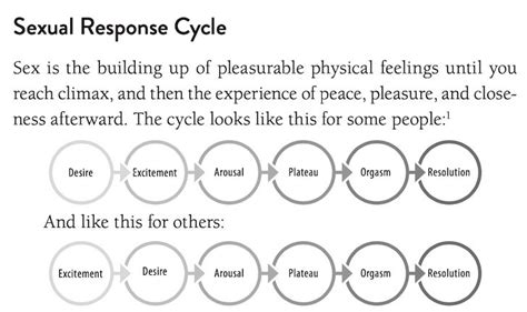 Request Response Cycle Hot Sex Picture