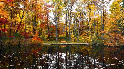 Download Autumn Reflections Pond Wallpaper