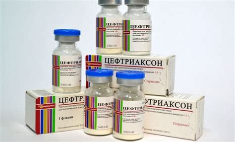 Цефтриаксон для кошек: инструкция и показания к применению, отзывы, цена