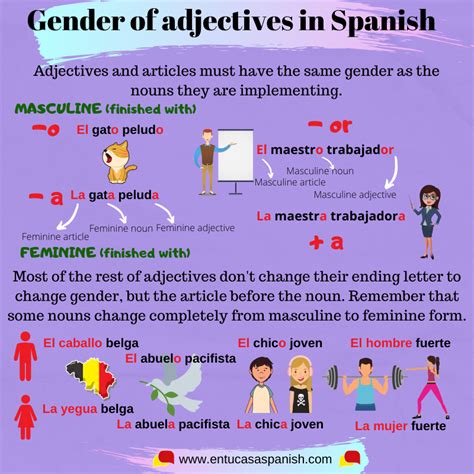 Gender Of Adjectives In Spanish En Tu Casa Spanish