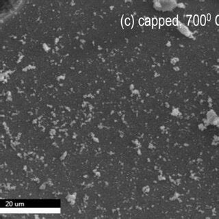 Sem Image Of Pure Zno Nanopowder With Pva And Annealing A Uncapped