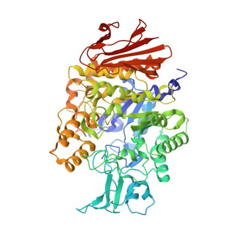 Rcsb Pdb Axh Crystal Structure Of Isomaltase In Complex With Isomaltose