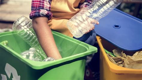 Cómo reducir la contaminación Consejos y hábitos sostenibles