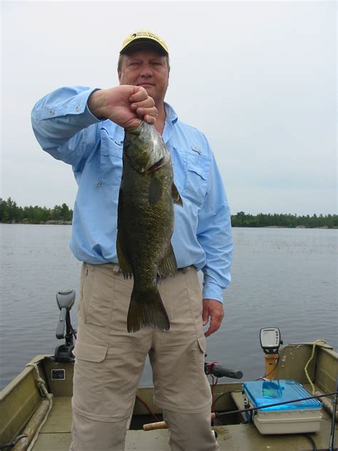 Large Mouth Bass Sandy Haven Your Ontario Cottage Vacation