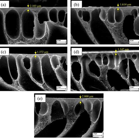 Scanning Electron Microscopy Images Displaying The Selective Layer Of