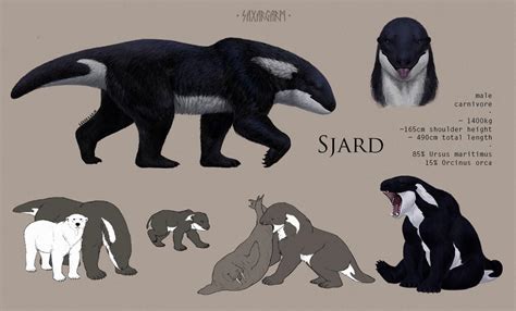 Animal Hybrids Favourites By Siegeseya On Deviantart