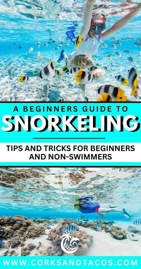 Snorkeling Tips For Beginners And Non Swimmers