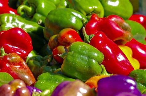 Capsicum Pilipili Hoho Farming Guide Value Media