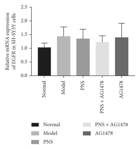 MRNA Levels Of A EGFR B PI3K And C AKT In SH SY5Y Cells After