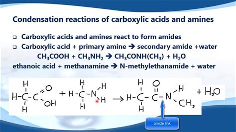 Describe Using Equations The Reactions Of Amines With