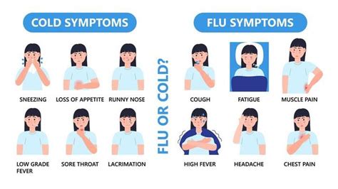 Flu Symptoms Vector Art, Icons, and Graphics for Free Download