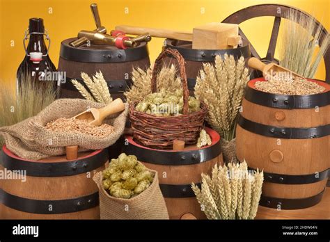 Spices And Ingredients Brewery Beer Keg Oak Barrel Spices And