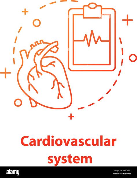 Cardiovascular System Concept Icon Cardiology Idea Thin Line