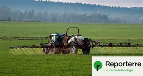 Réautorisation du glyphosate des ONG déposent des recours en 2024