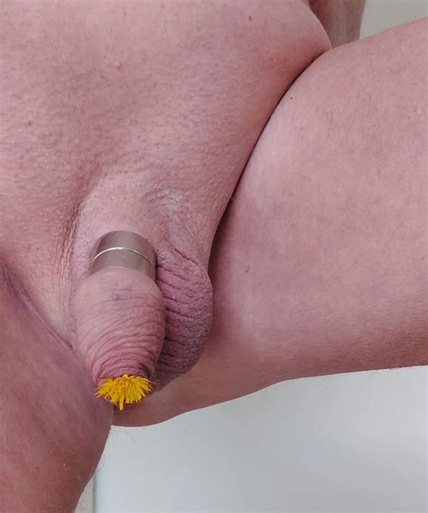 Would You Pick My Flower 6 Nude Pics XHamster