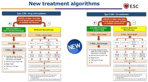 Metformina en diabetes mellitus tipo 2 continúa siendo el tratamiento