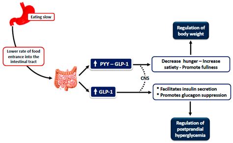 How Important Is Eating Rate In The Physiological Response To Food