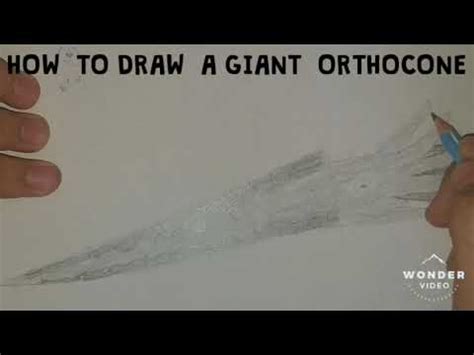 How To Draw A Giant Orthocone YouTube