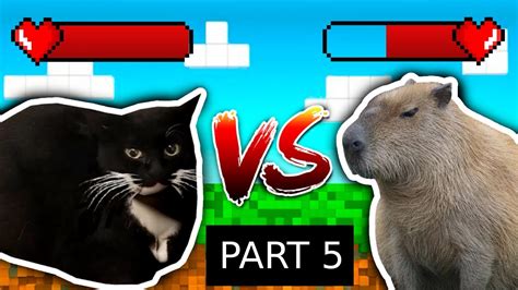 Maxwell Cat Vs Capybara Youtube