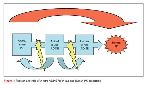 Perspectives For Admet Integration In The Discovery Process Drug