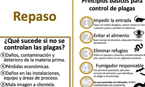 Prevención eficaz de infestaciones de roedores en ganadería