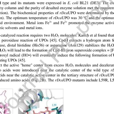 Structure Based Amino Acid Sequence Alignment Of The Mature Rdcaupo