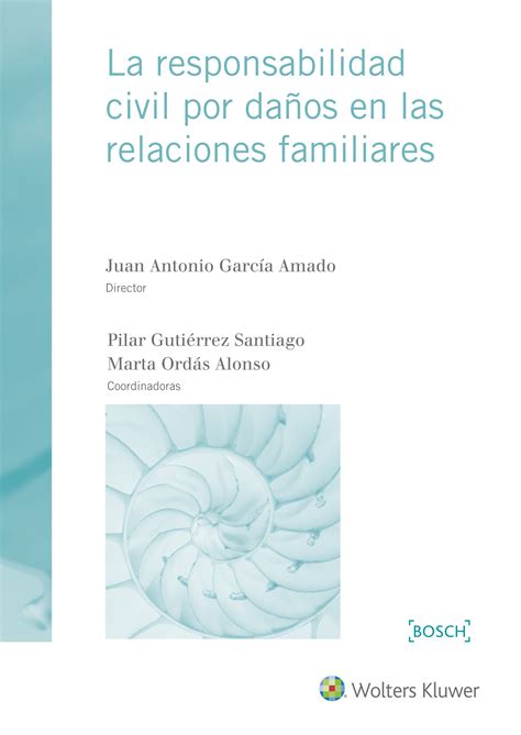 La Responsabilidad Civil Por Da Os En Las Relaciones Familiares Librotea