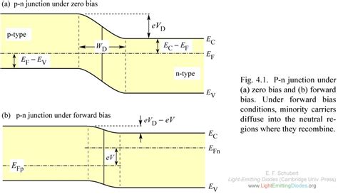 Forward Biased Circuit Diagram