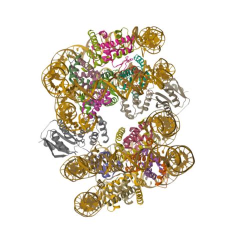 RCSB PDB 7U4D CryoEM Structure Of CENP N Promoted Nucleosome Stacks