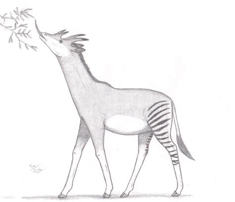 Giraffokeryx Punjabiensis By King Edmarka On Deviantart