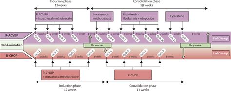 Intensified Chemotherapy With Acvbp Plus Rituximab Versus Standard Chop