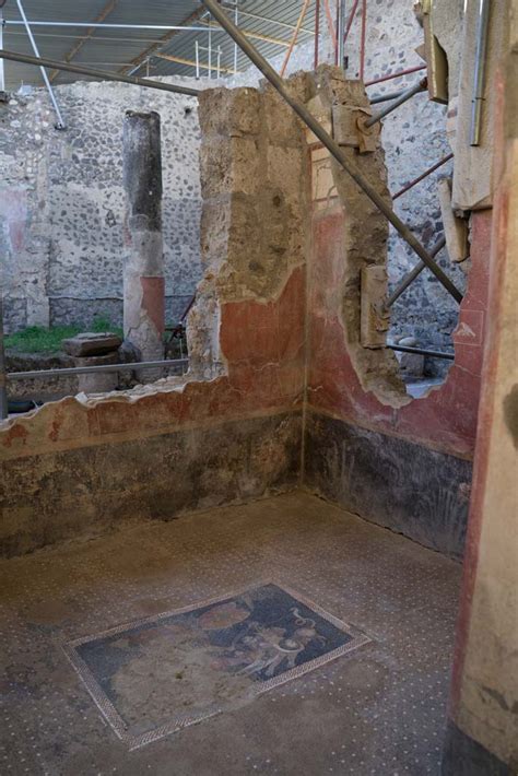 V Pompeii Casa Di Orione October Room With Panther Floor