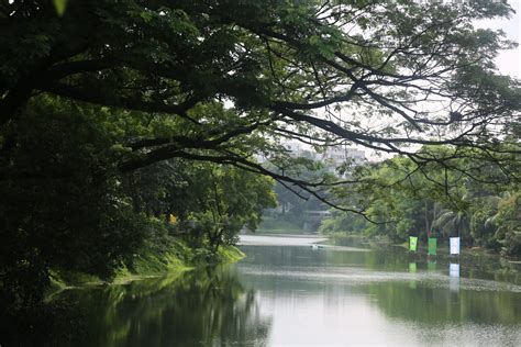 Taman Tasik Taiping Perak Claire Henderson