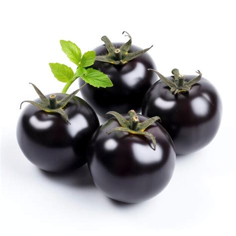 Vegetales De Tomate Negro Aislados Sobre Un Fondo Blanco Foto Premium