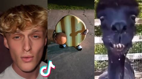 ULTIMATE Try Not To Laugh Challenge FUNNIEST TIKTOK MEMES Of August