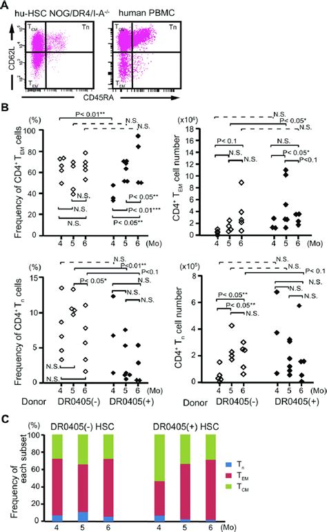 Analysis Of The Cd T Cell Sub Population In Hu Hsc Nog Dr I A