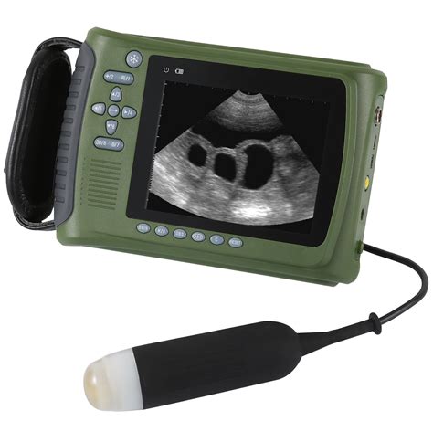 Hochey Medical Vet Pet Hospital Ultrasound Veterinary Portable Handheld